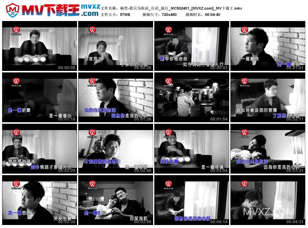 杨哲-我只为你活_台语_流行_MC502401